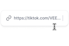 Paste a video URL.png